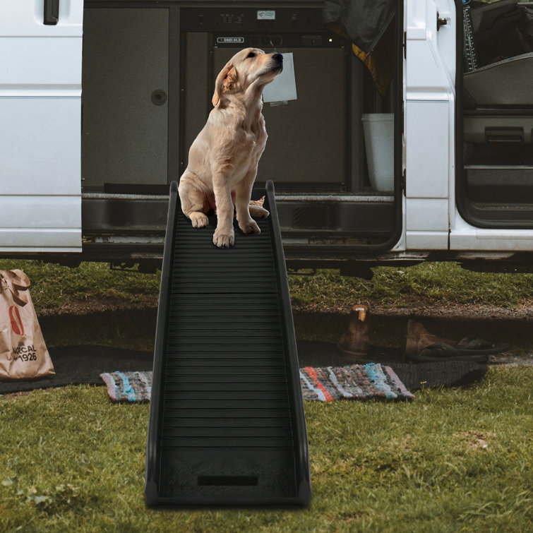 Dog car outlet ramp aldi